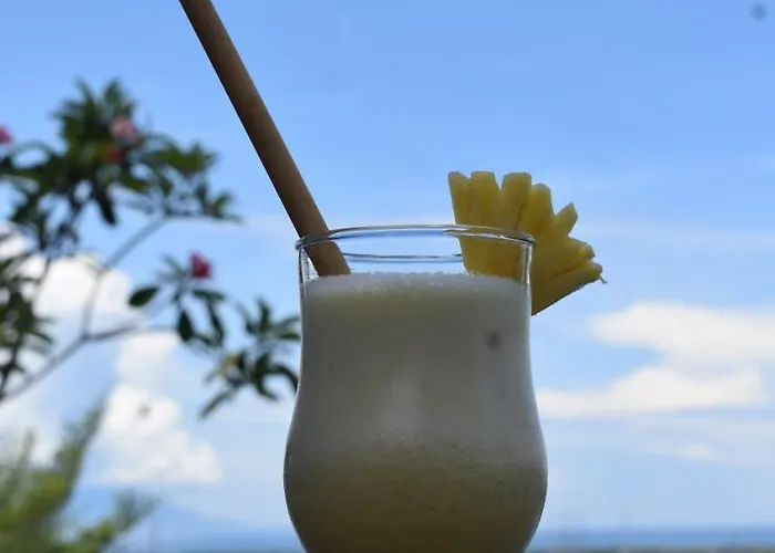 Menjangan Hill Hotel 3*