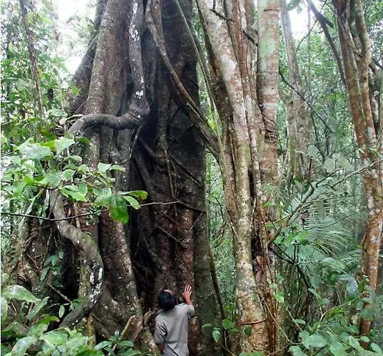 Hotel Menjangan Hill Banyuwedang