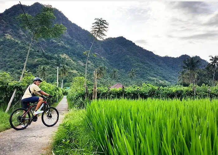 Menjangan Hill Hotel